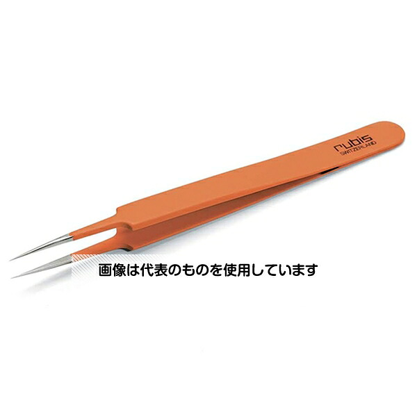 緑であること活動の領域