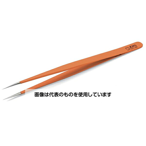 緑であること活動の領域