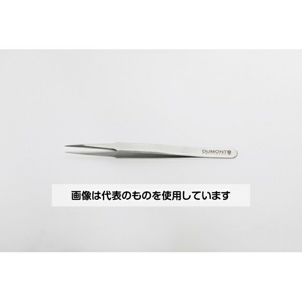 緑であること活動の領域