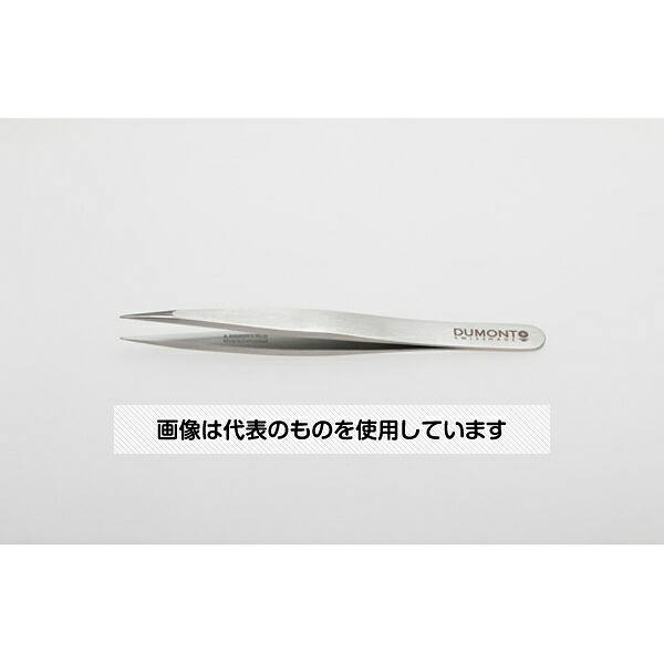 緑であること活動の領域