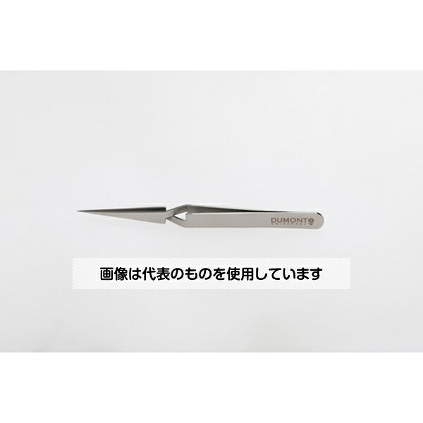 緑であること活動の領域