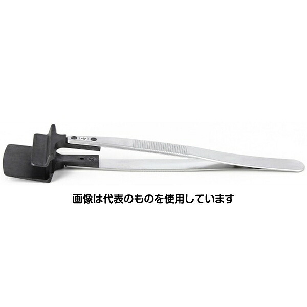 緑であること活動の領域