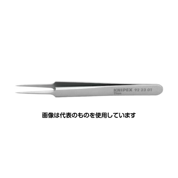 緑であること活動の領域
