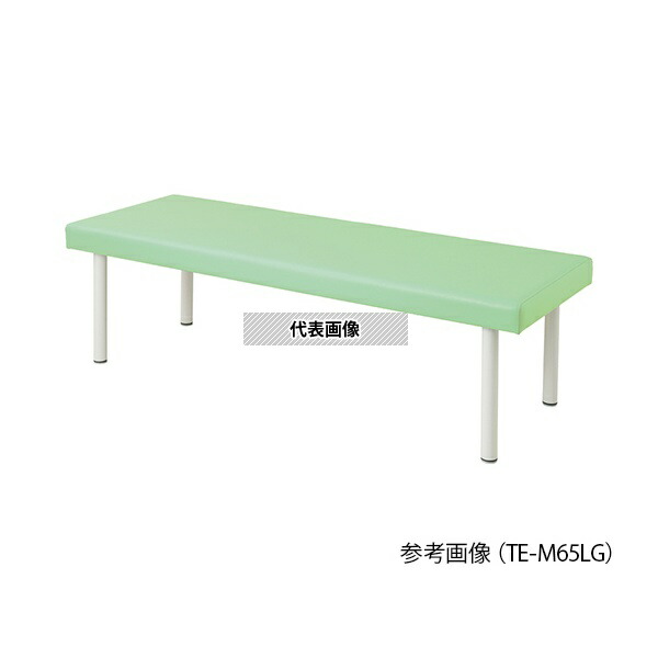 ナビス(アズワン) TE-L65LG カラフル診察台 650×1800×500mm ライムグリーン