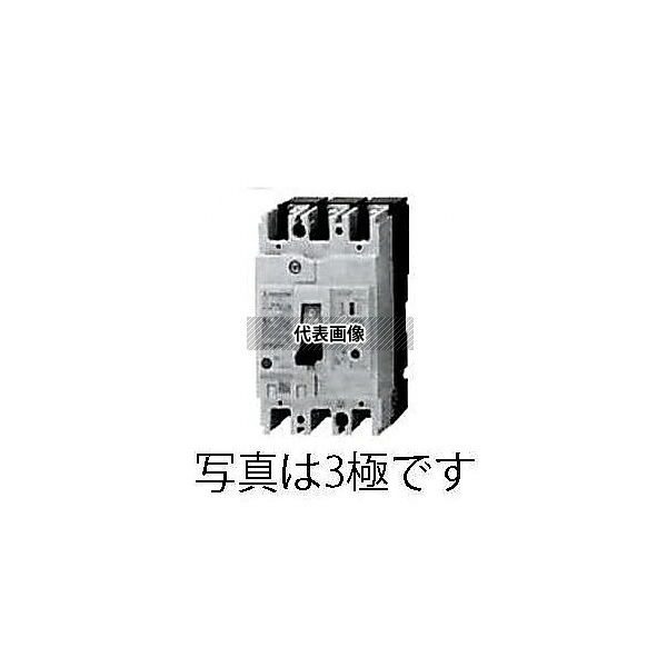 エスコ EA940MN-16 AC100-240V/ 60A/2極 漏電遮断器(フレーム60)