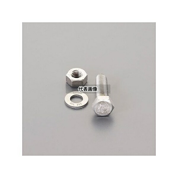 エスコ EA949DX-1608 M16x 60mm強力六角ボルト(SUS/ナットワッシャ付全ネジ