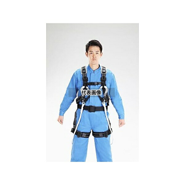 緑であること活動の領域