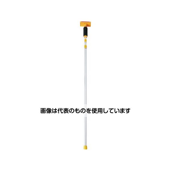 緑であること活動の領域