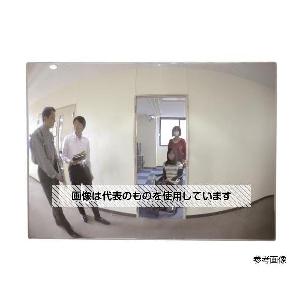 緑であること活動の領域