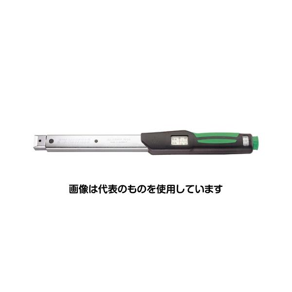 緑であること活動の領域