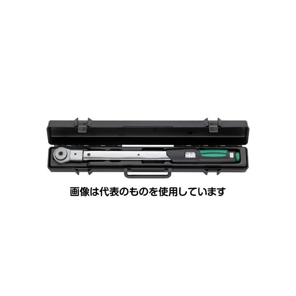 緑であること活動の領域