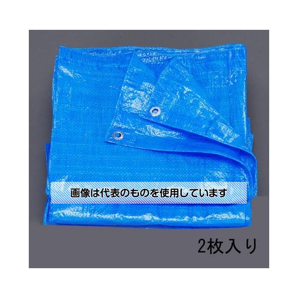 エスコ 10x 10m/0.06mm ブルーシート(2枚) EA911AB-4 入数：1組