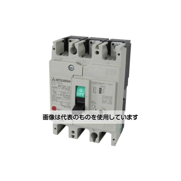 緑であること活動の領域