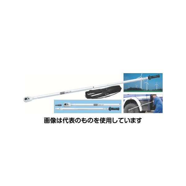 緑であること活動の領域