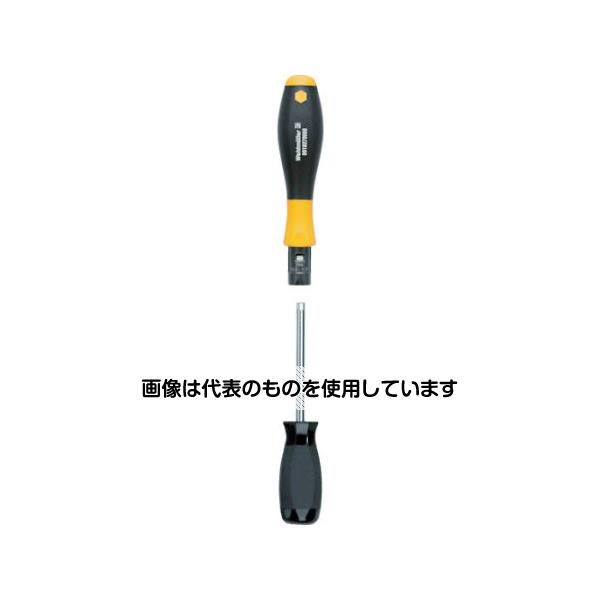 緑であること活動の領域