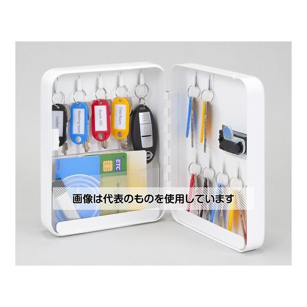 ケイデン・セキュリティー 155x 60x195mm キーボックス(ダイヤルロック式/17本用) EA956VE-61 入数：1個