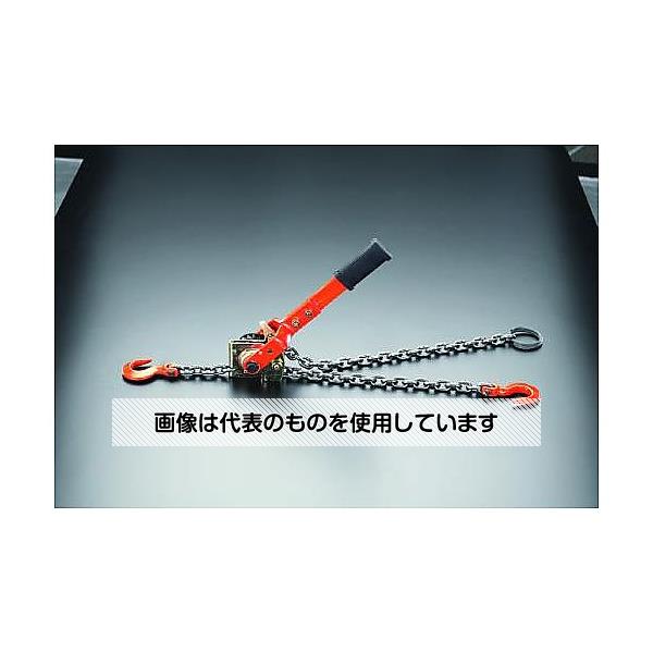 アズワン(AS ONE) 0.5ton チェーン荷締機 EA988XA-2 入数：1台