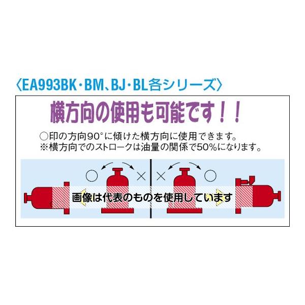 緑であること活動の領域