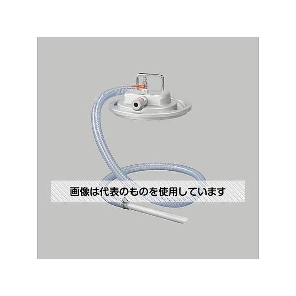 緑であること活動の領域