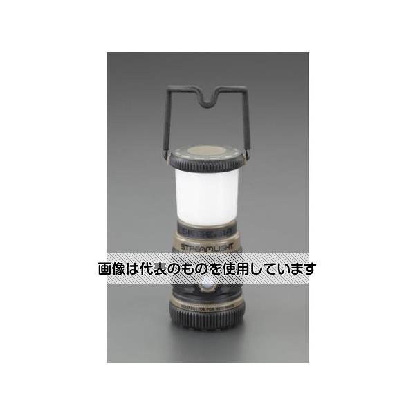 緑であること活動の領域