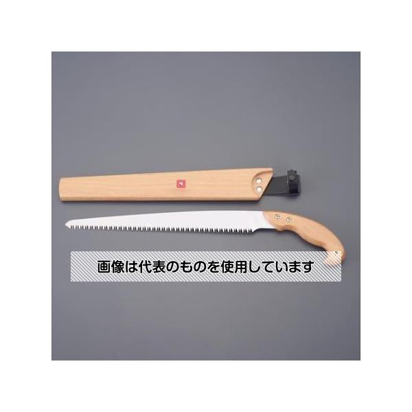緑であること活動の領域