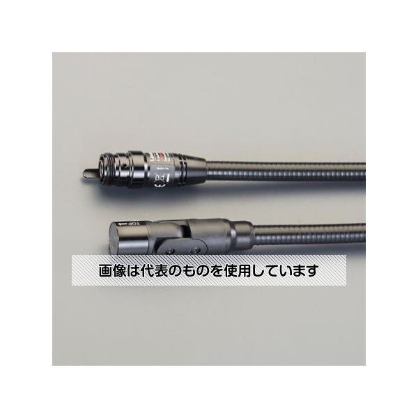 緑であること活動の領域