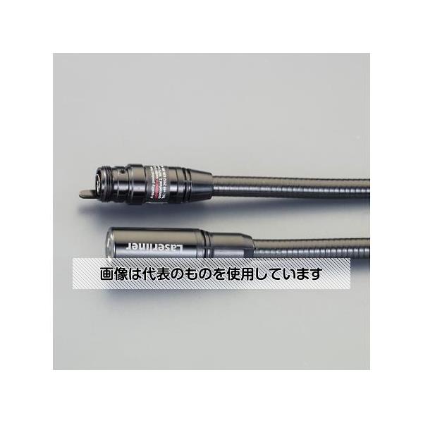 緑であること活動の領域