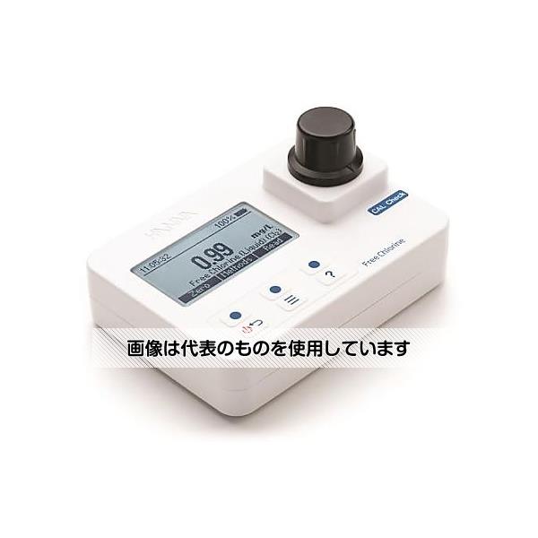 緑であること活動の領域