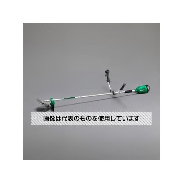 緑であること活動の領域
