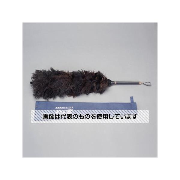 緑であること活動の領域