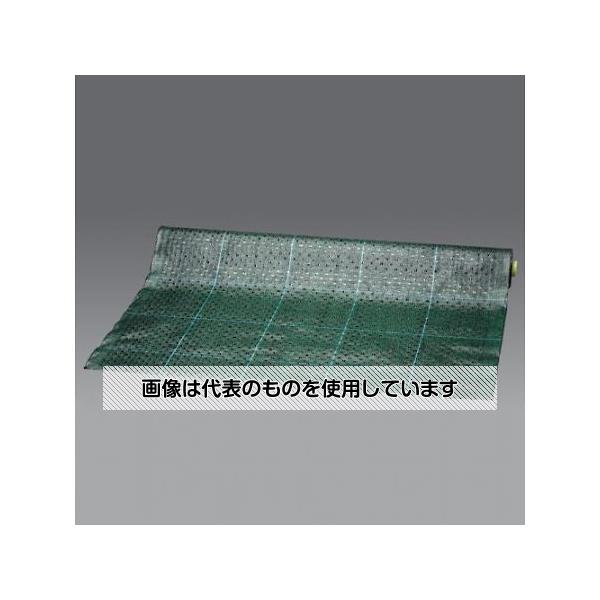 緑であること活動の領域