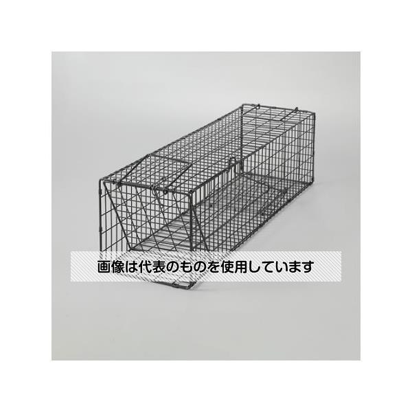 緑であること活動の領域