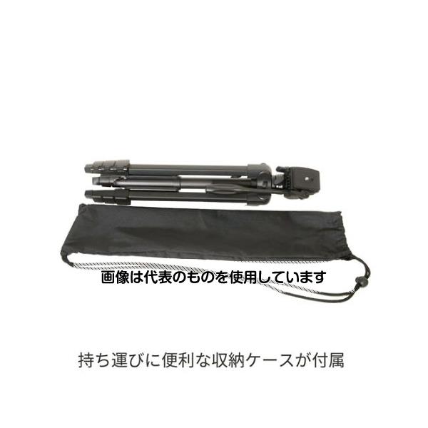 緑であること活動の領域