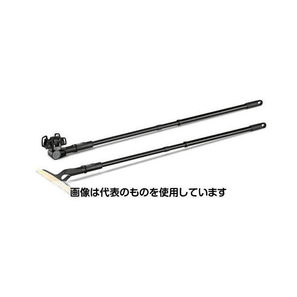 緑であること活動の領域