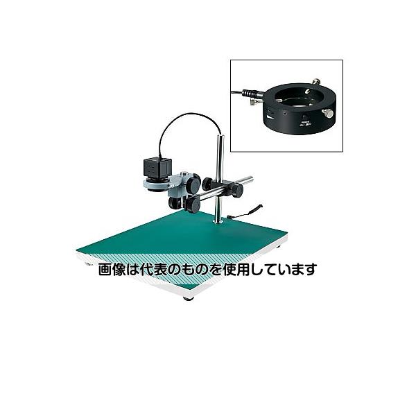 緑であること活動の領域