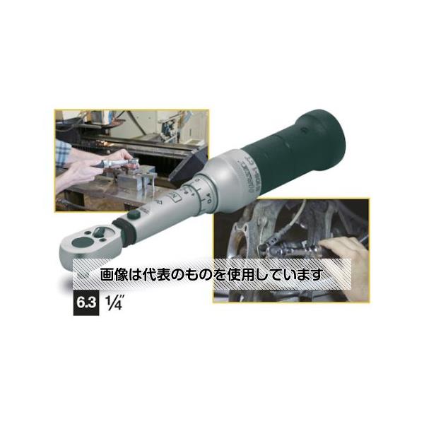 緑であること活動の領域