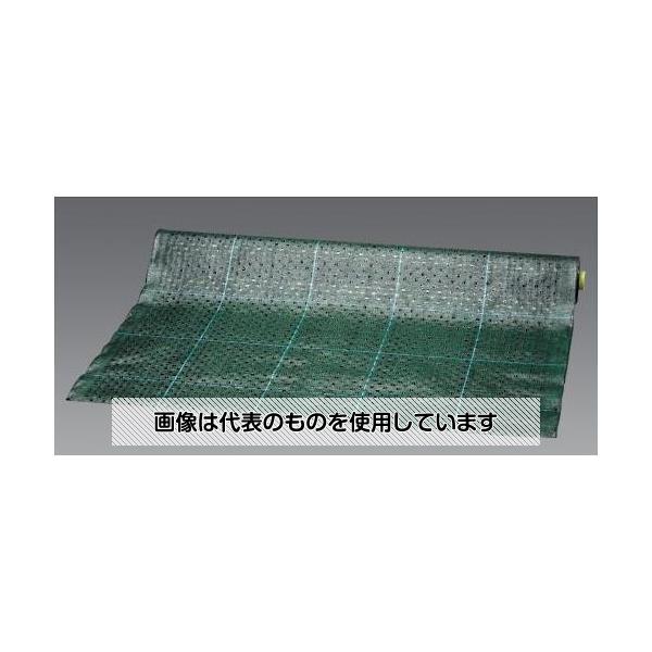アズワン(AS ONE) 2.0x25m 耐候防草シート EA952AD-300 入数：1巻