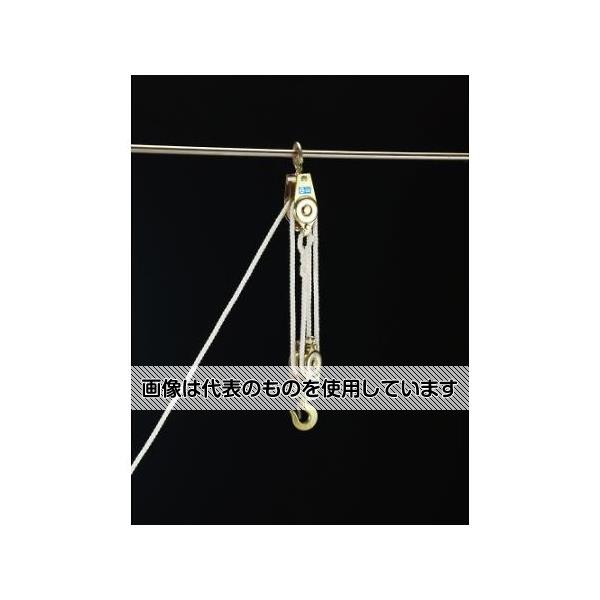 アズワン(AS ONE) 250kg/3m ロープホイスト EA987CG-1 入数：1台