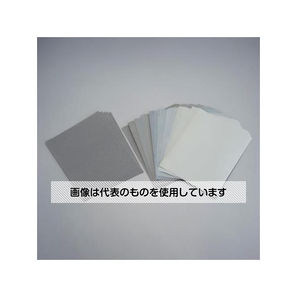 アズワン(AS ONE) 280x230mm 耐水ペーパーセット(#120-#2000/50枚) EA366CS 入数：1セット