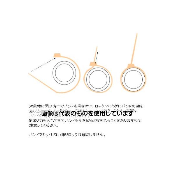 緑であること活動の領域