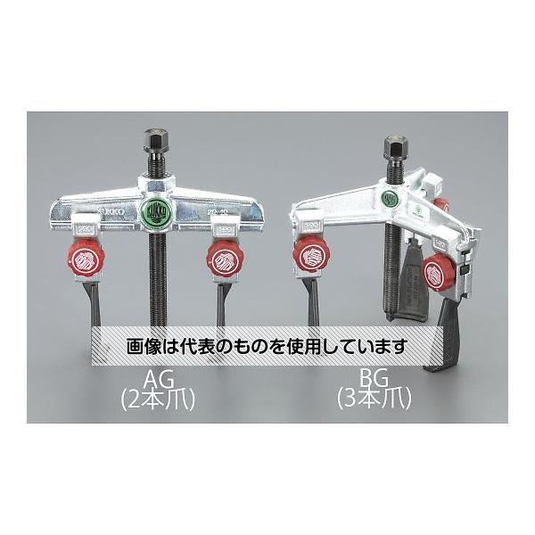 緑であること活動の領域