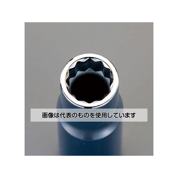 緑であること活動の領域