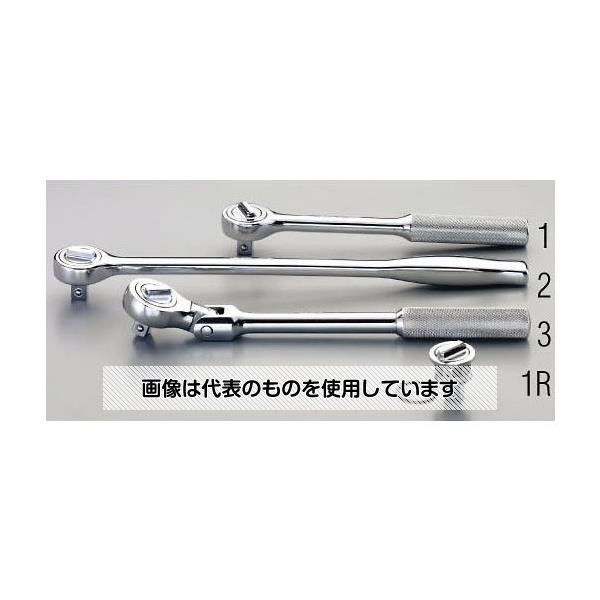 緑であること活動の領域