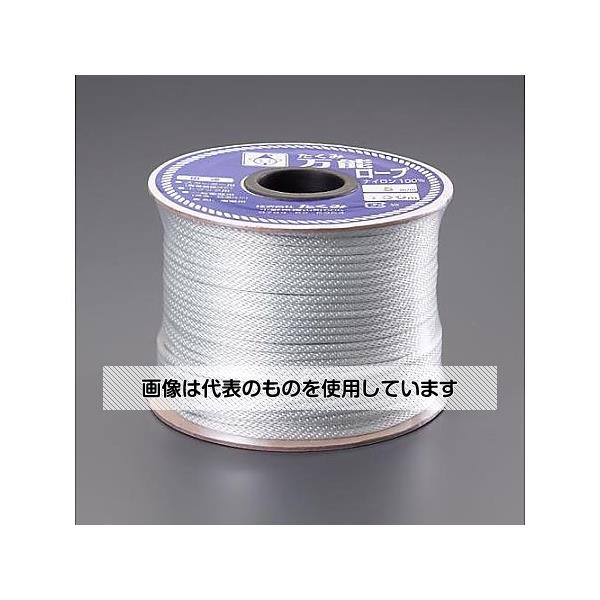アズワン(AS ONE) 6mmx100m ナイロンロープ(金剛打) EA628HT-6 入数：1個