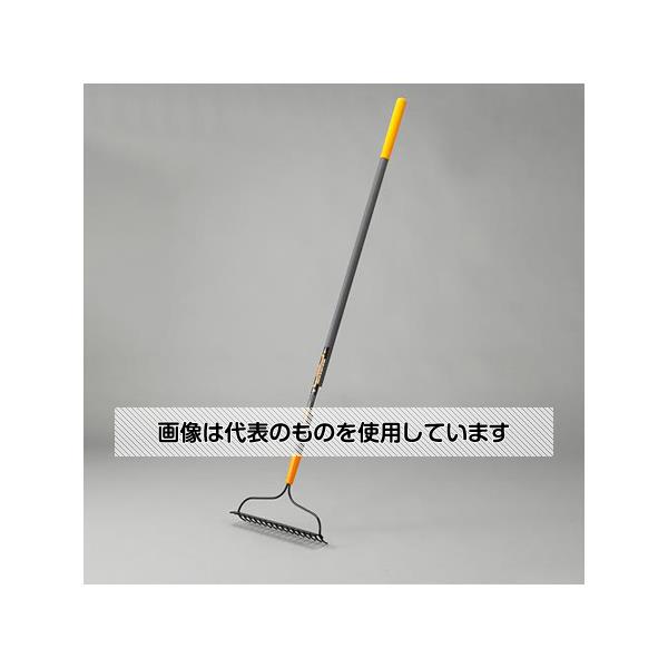 緑であること活動の領域