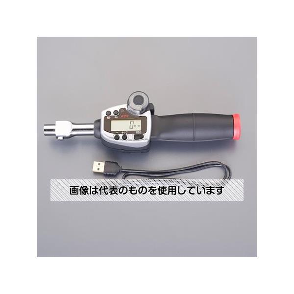 緑であること活動の領域