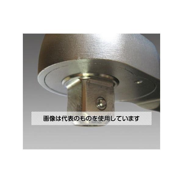 アズワン(asone) 200-1500N･m(1\