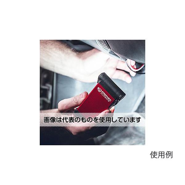 緑であること活動の領域