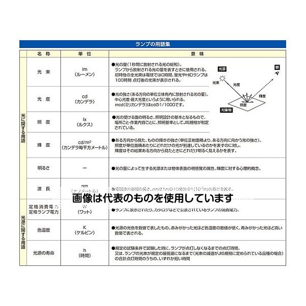 アズワン(AS ONE) AC100V/ 10W 作業灯/LED(屋内用･電球色) EA815LC-6 入数：1台