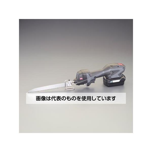 緑であること活動の領域